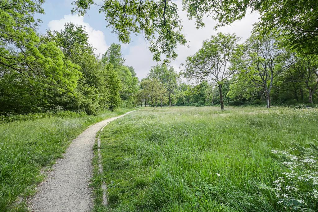 Foto 34 van Van Leeuwenhoekstraat 5-0010