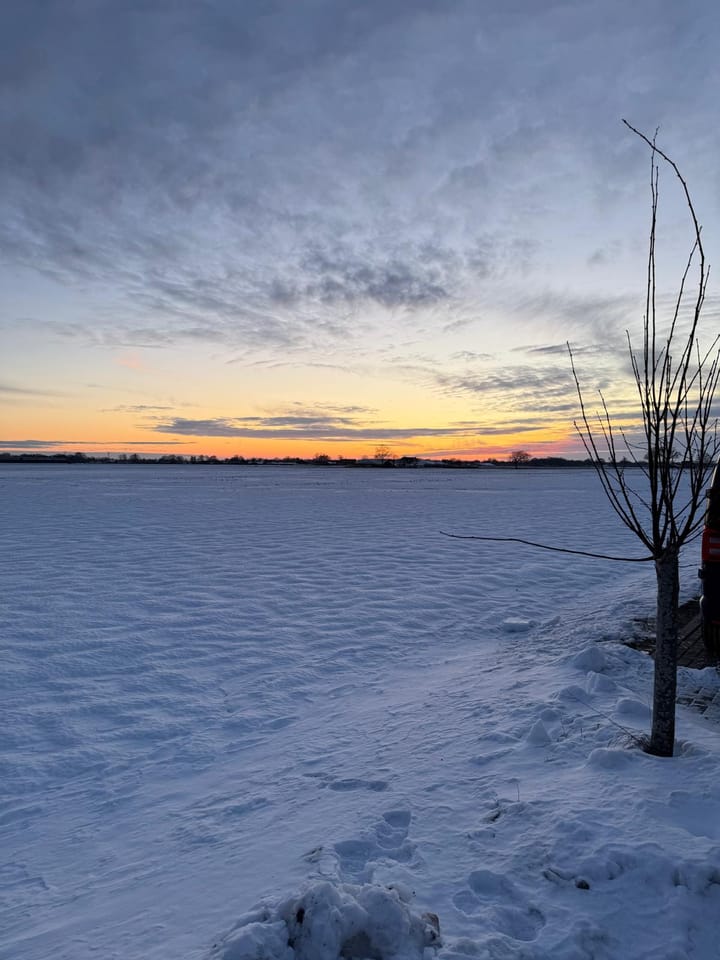 Photo 48 of Reininkstraat 9