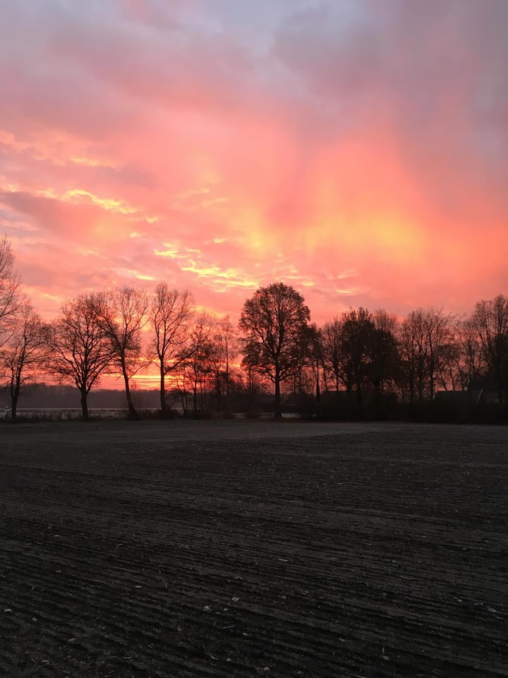 Photo 49 of Reininkstraat 9