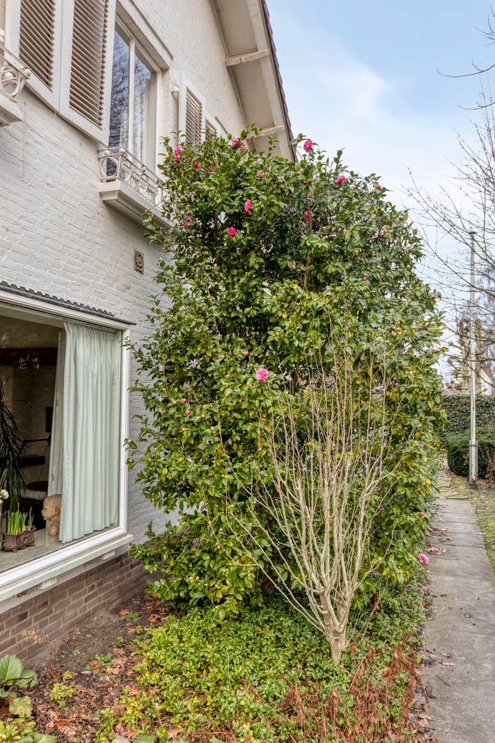 Photo 75 of Prinses Margrietstraat 4