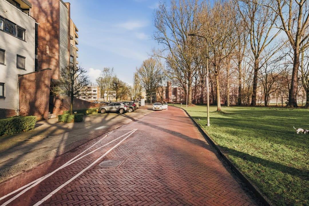 Photo 68 of Wimbledonpark 255