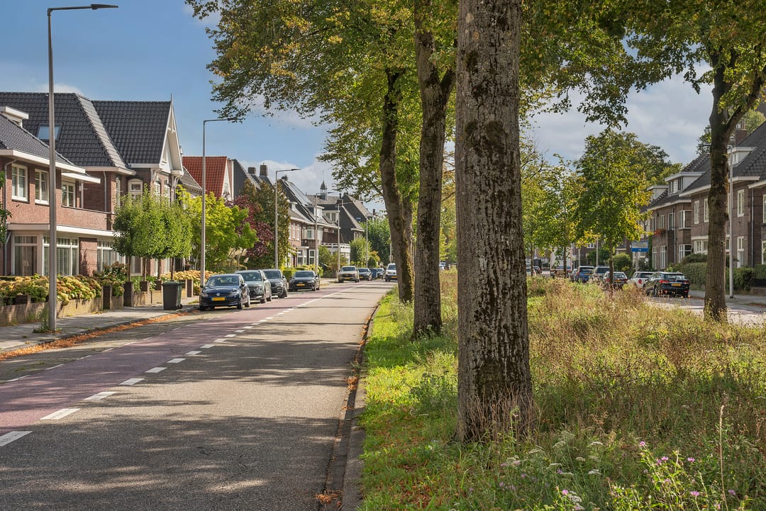 Photo 8 of Lasondersingel 56