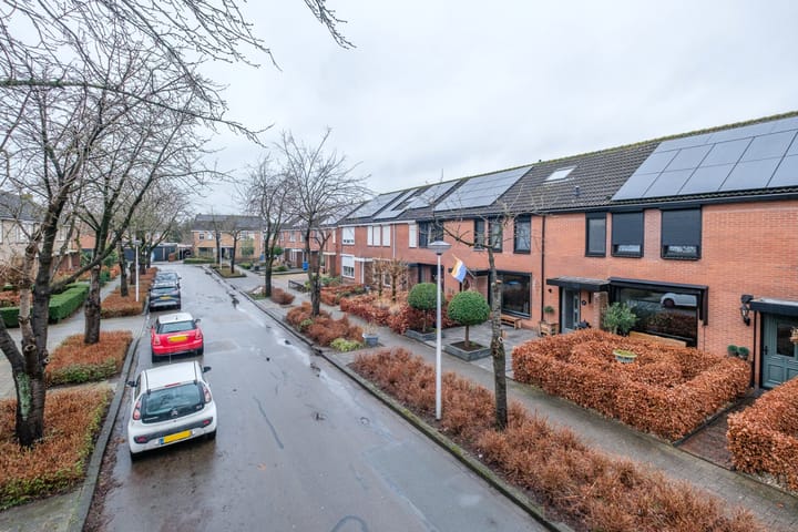 Foto 38 van Tureluur 30