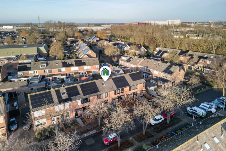 Foto 40 van Tureluur 30