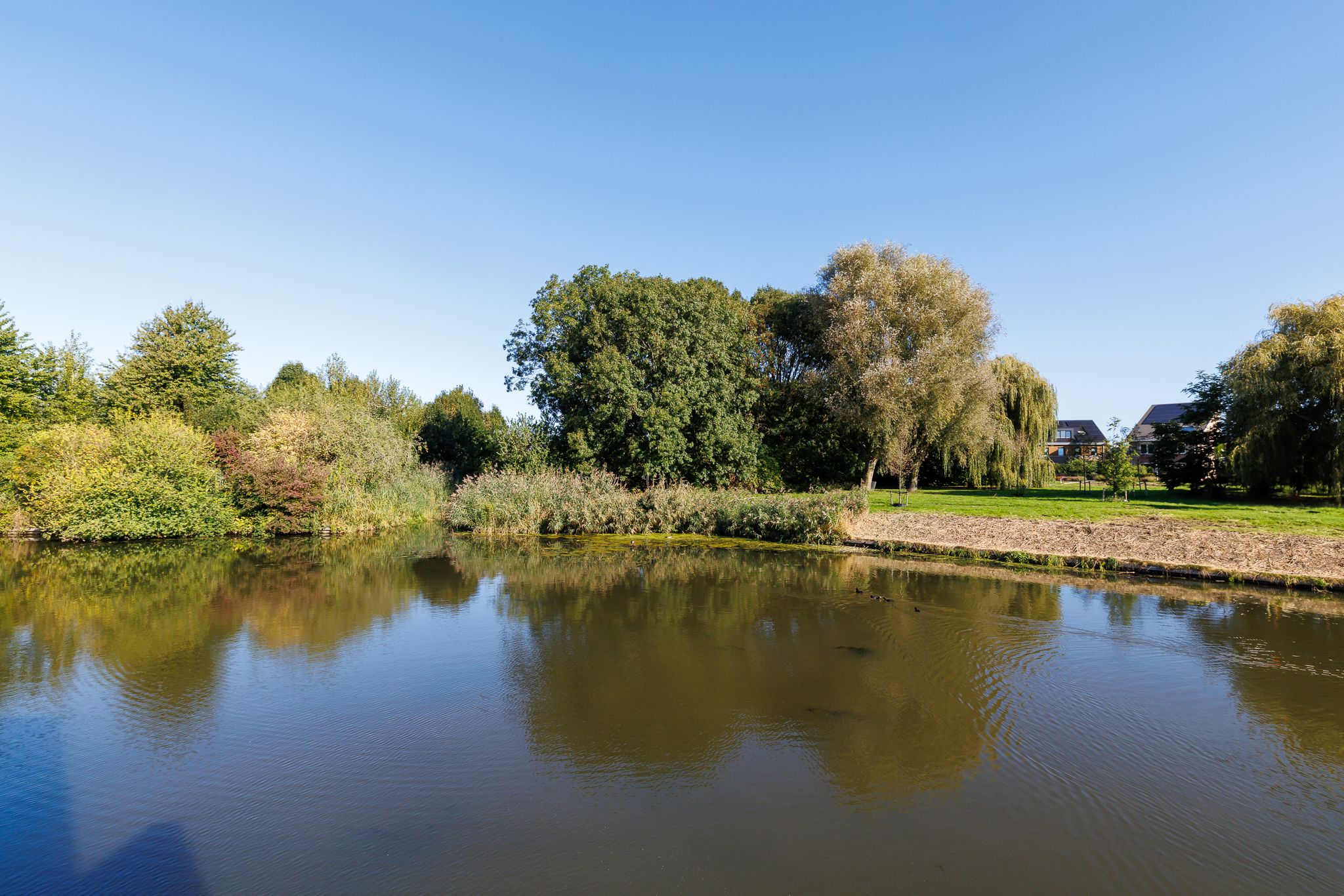 Photo 48 of Waterland 36