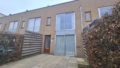 undefined main image