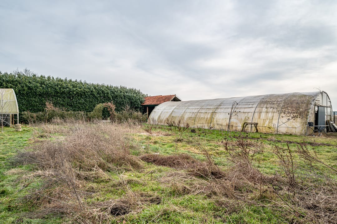 Foto 11 van Elfde Wijk 20