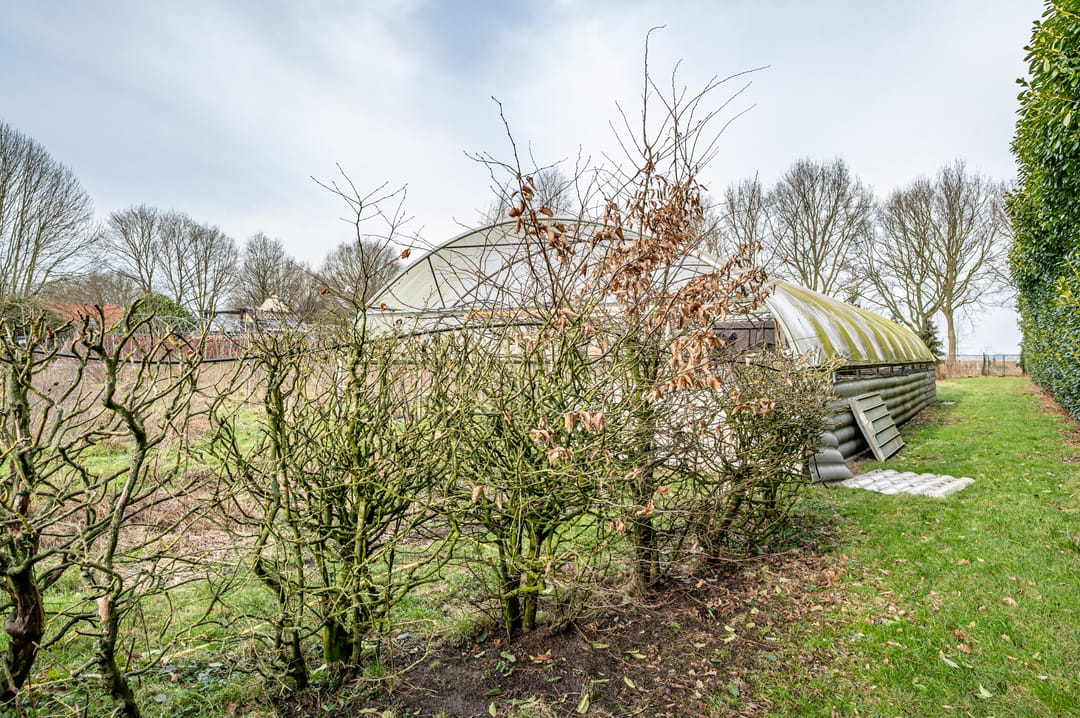 Foto 13 van Elfde Wijk 20