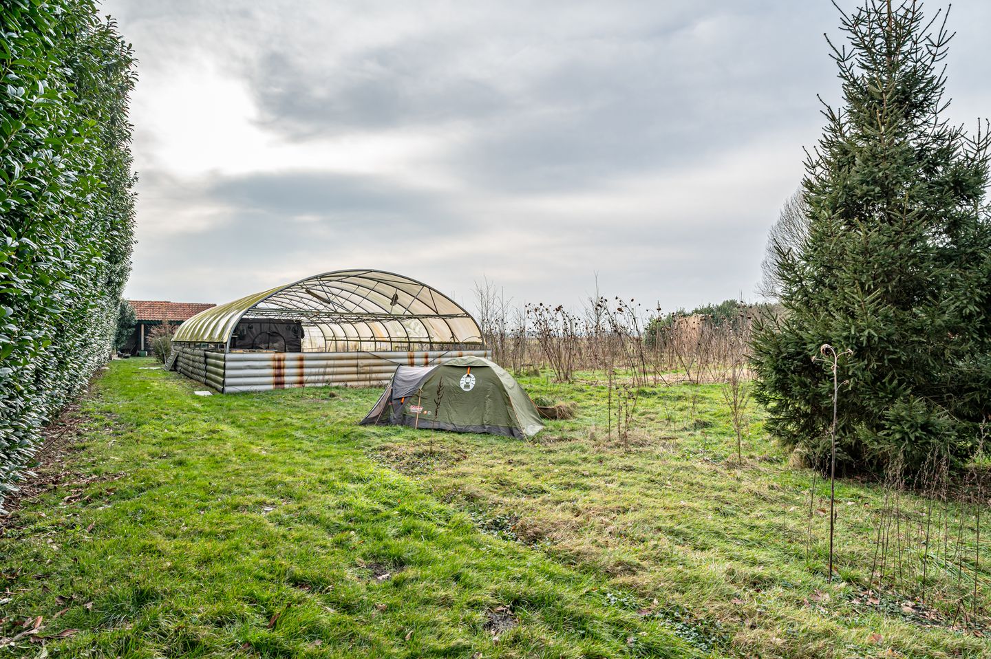 Foto 14 van Elfde Wijk 20