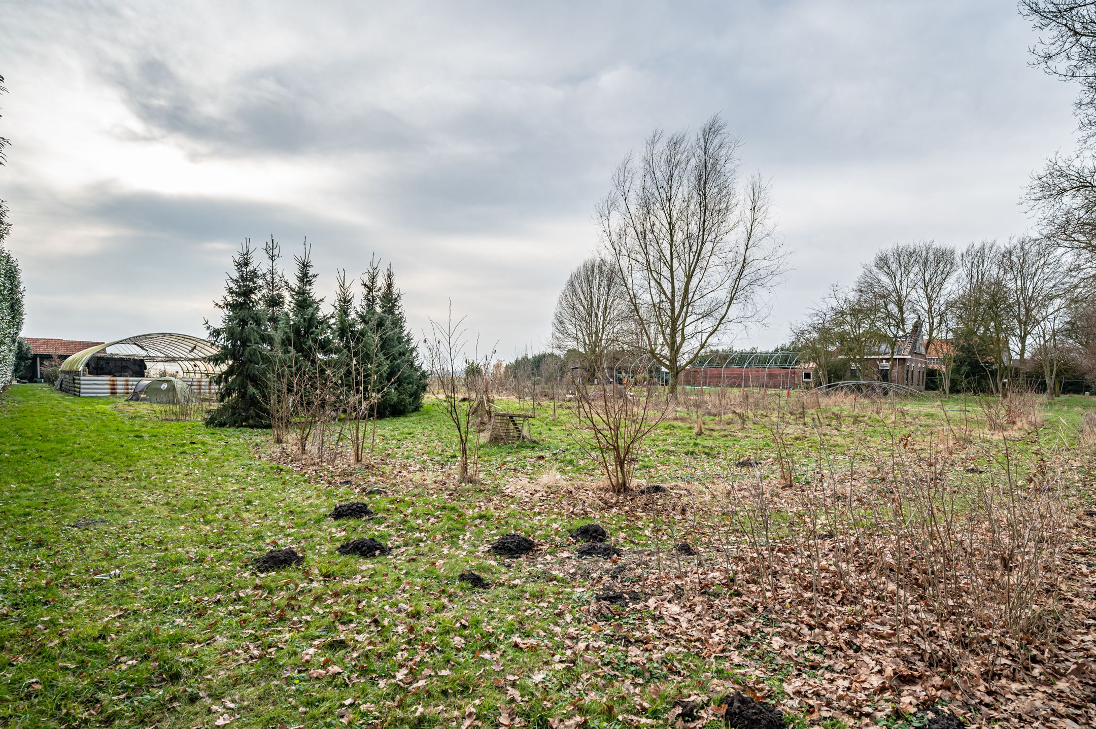 Foto 15 van Elfde Wijk 20