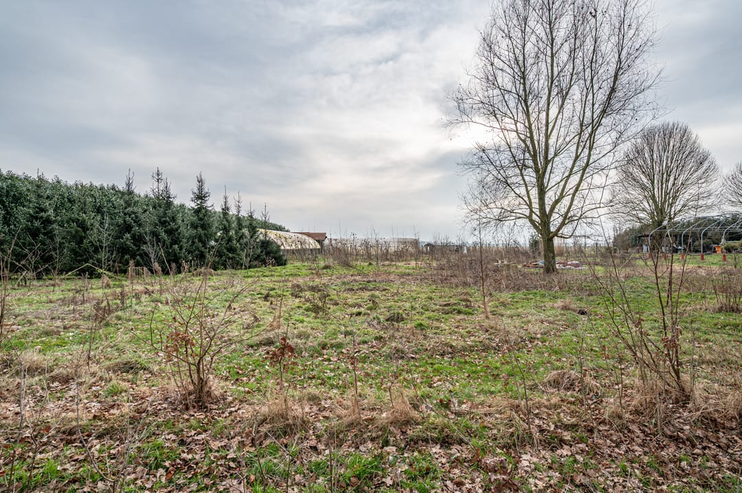 Foto 16 van Elfde Wijk 20