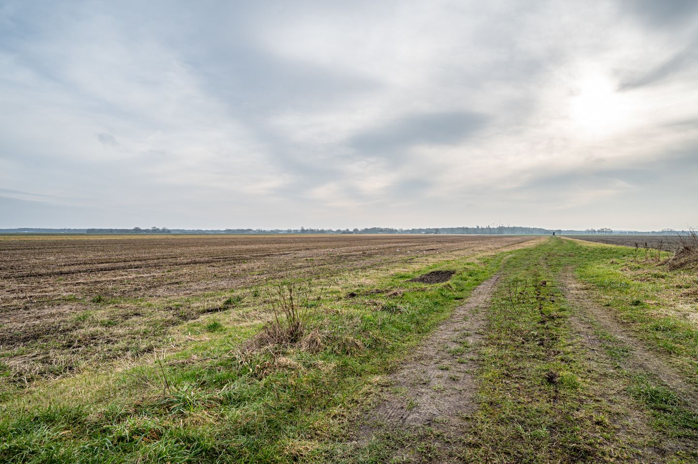 Foto 19 van Elfde Wijk 20