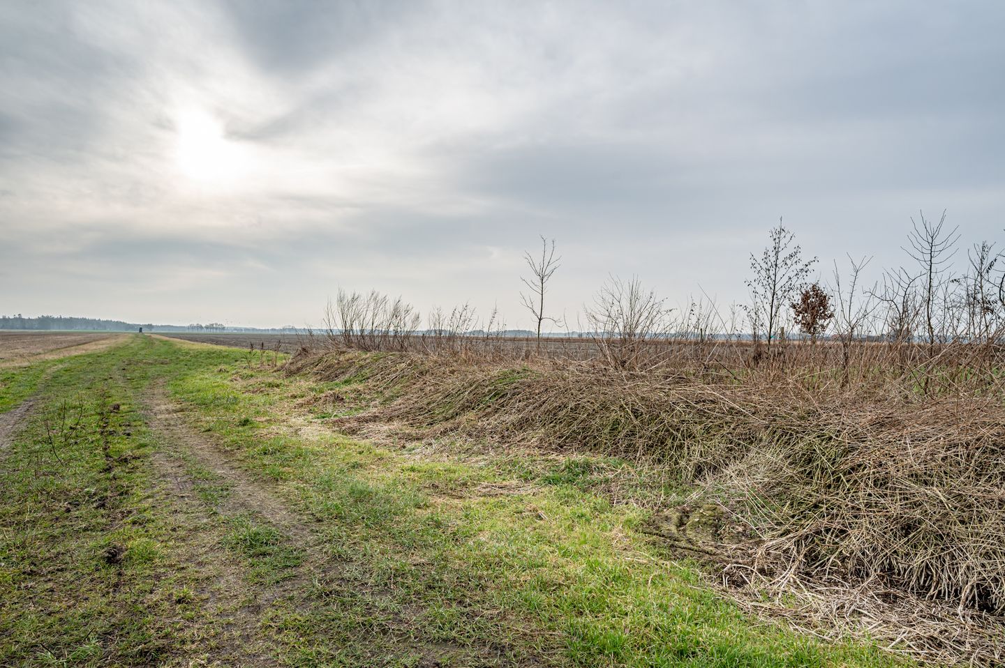 Foto 20 van Elfde Wijk 20