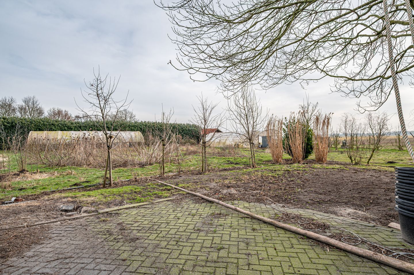 Foto 10 van Elfde Wijk 20