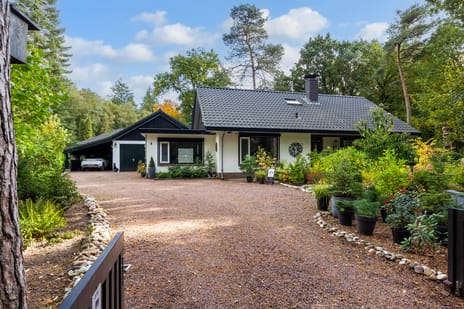 Sparrenlaan thumbnail