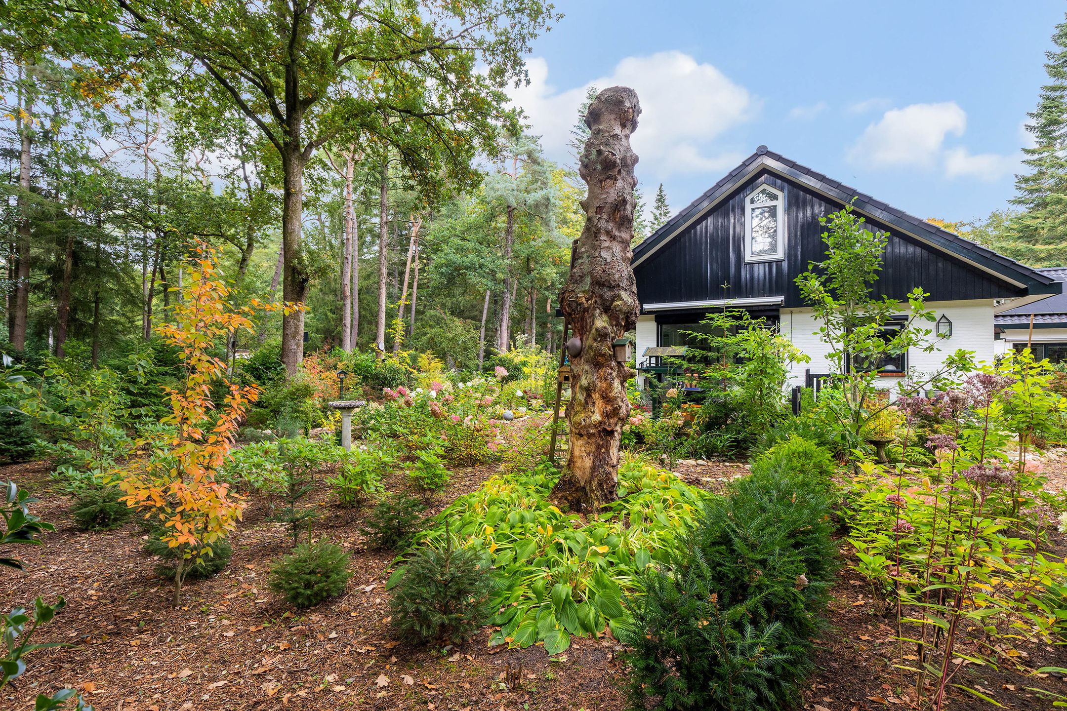 Foto 45 van Sparrenlaan 26