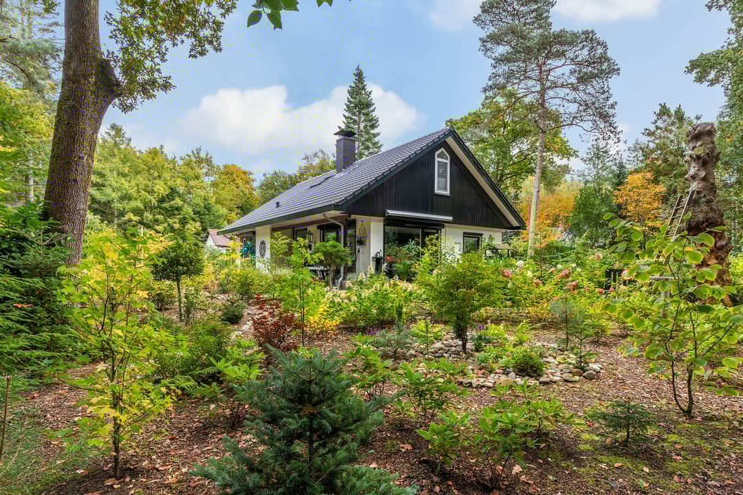 Foto 46 van Sparrenlaan 26