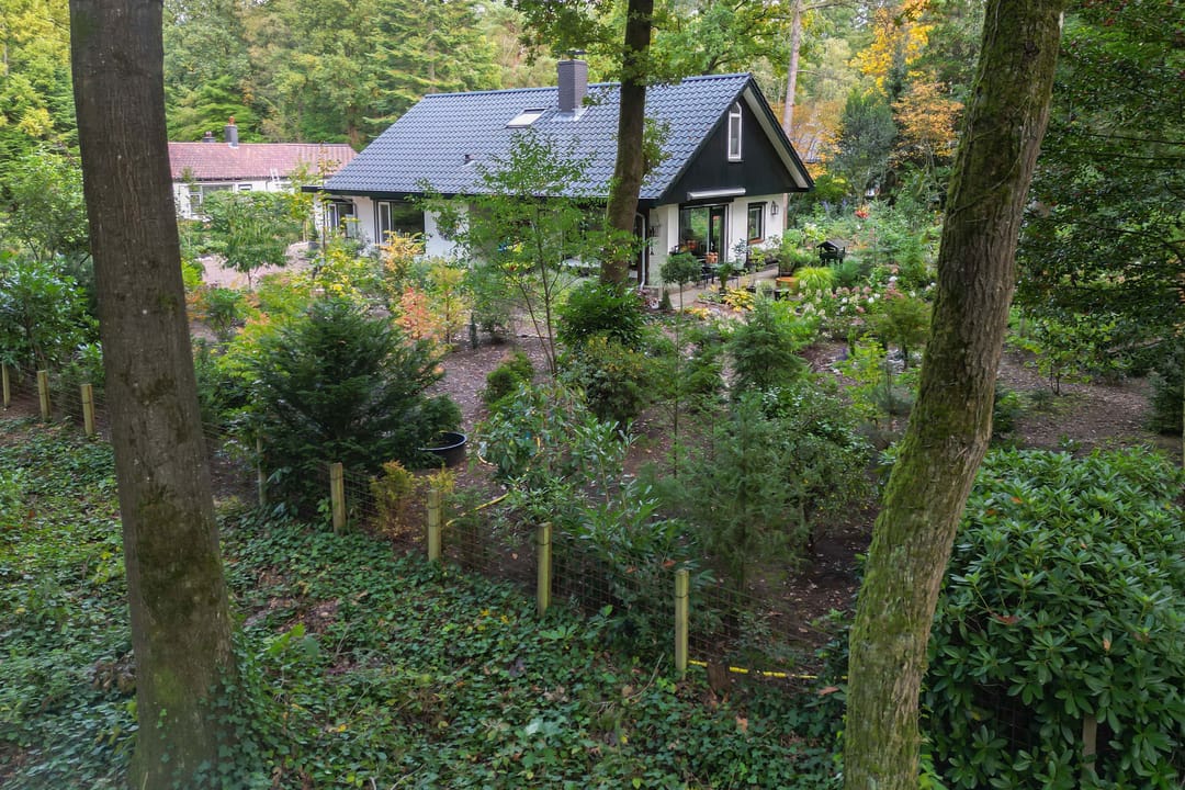 Foto 67 van Sparrenlaan 26