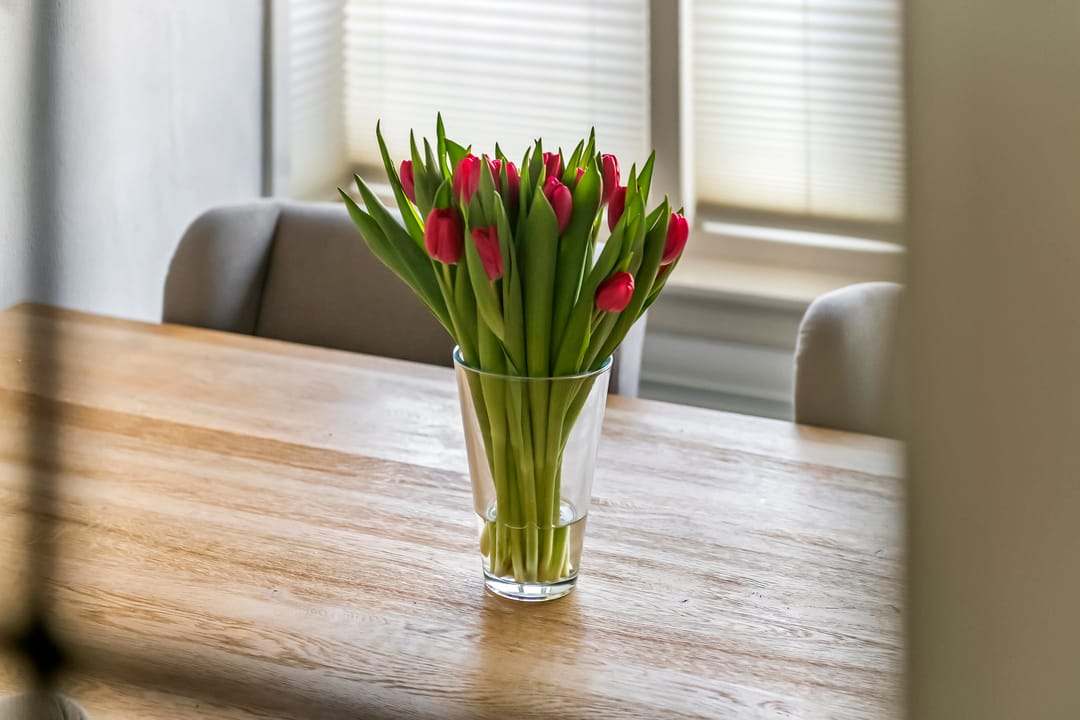 Photo 16 of Jacob Cremerstraat 4