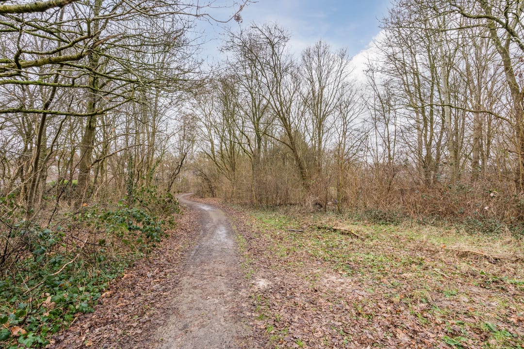 Photo 37 of Leemveld 134