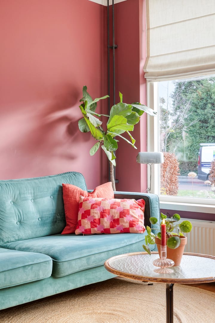 Foto 11 van Vijfmorgen 4