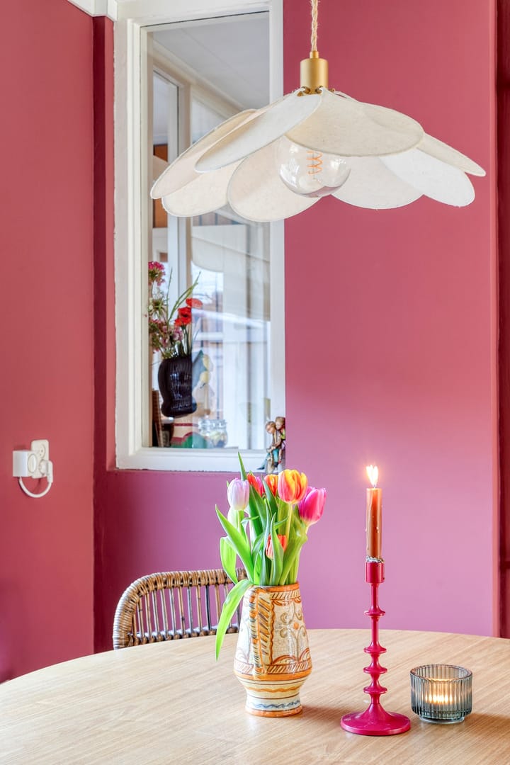 Foto 14 van Vijfmorgen 4