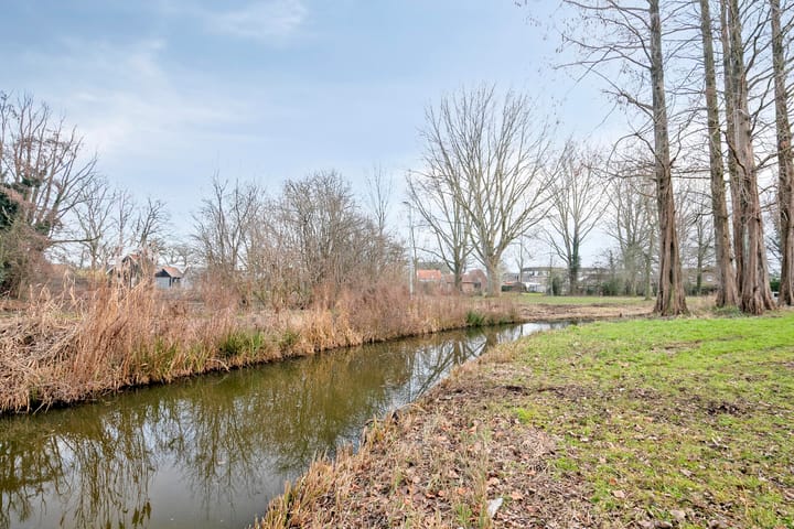 Foto 46 van Vijfmorgen 4