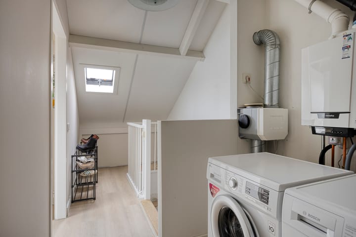 Foto 25 van Sleutelbloem 4