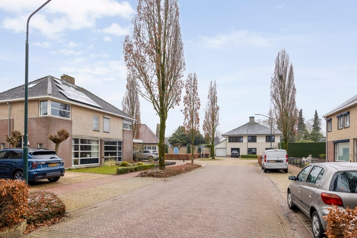 Foto 33 van Sleutelbloem 4