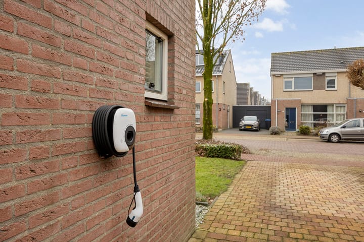 Foto 35 van Sleutelbloem 4