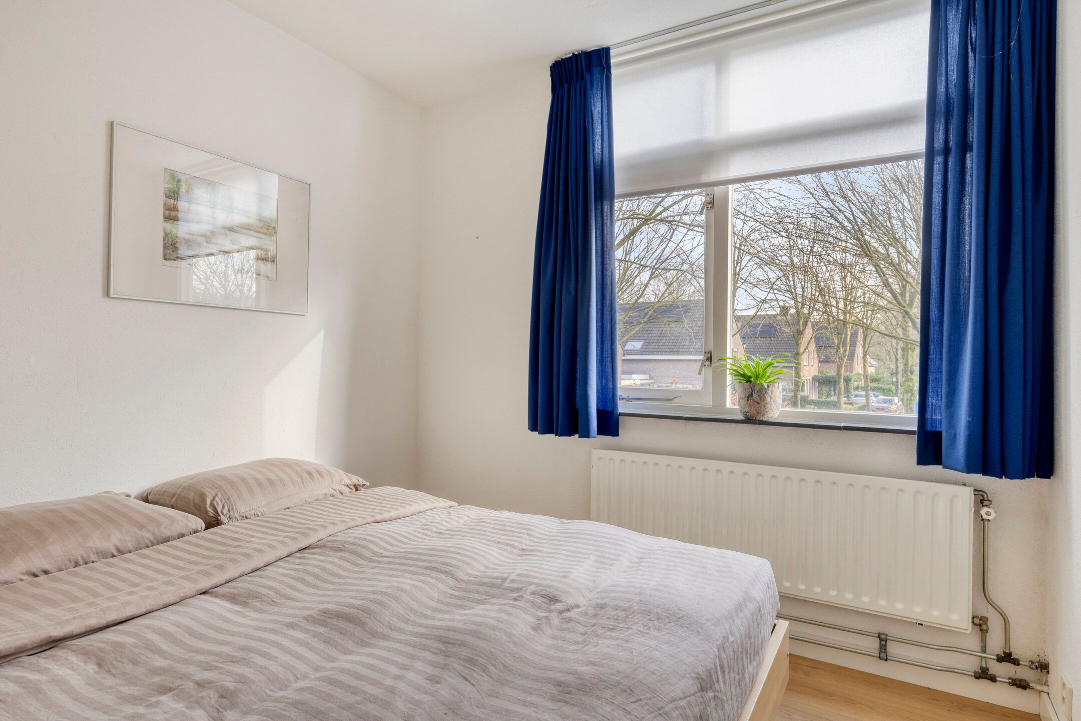 Foto 24 van Apollolaan 62