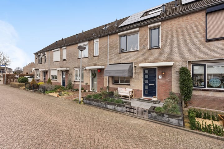 Foto 3 van Roodborst 25