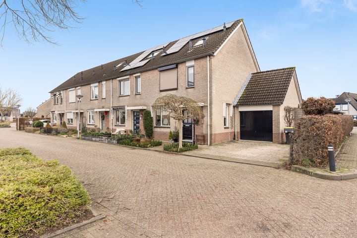 Foto 4 van Roodborst 25