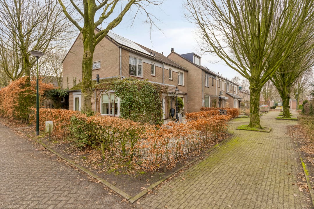 Foto 41 van Apollolaan 62