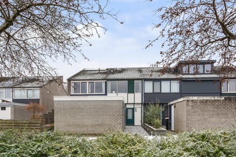 undefined main image