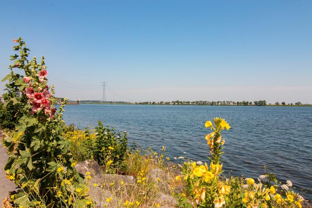 Foto 43 van Maria Austriastraat 57