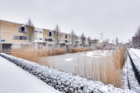 undefined main image