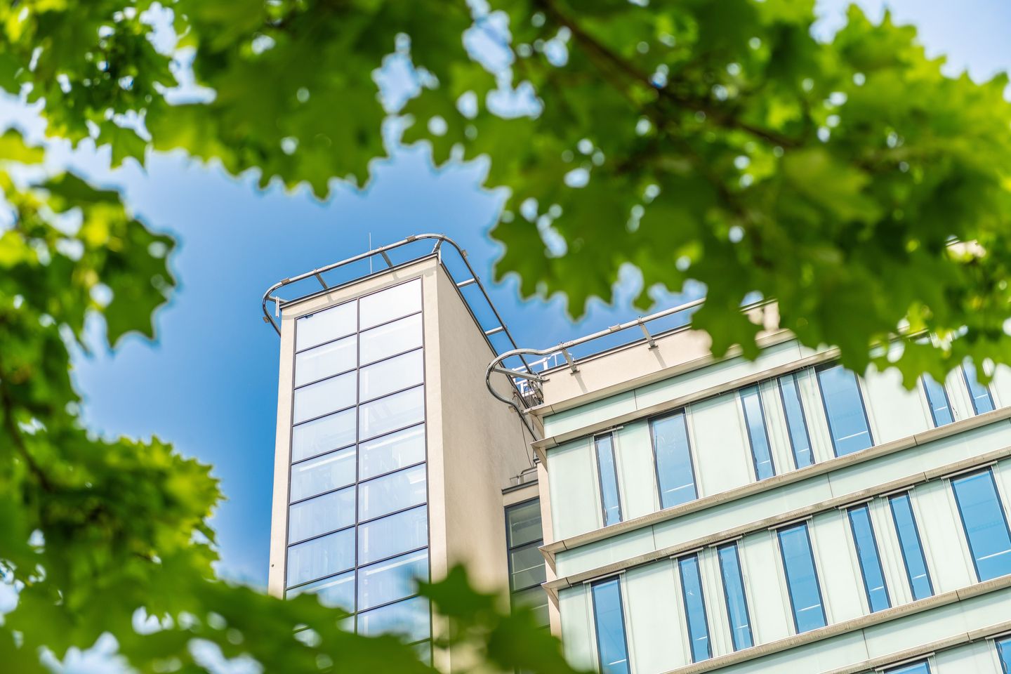 View photo 4 of Mercator 3