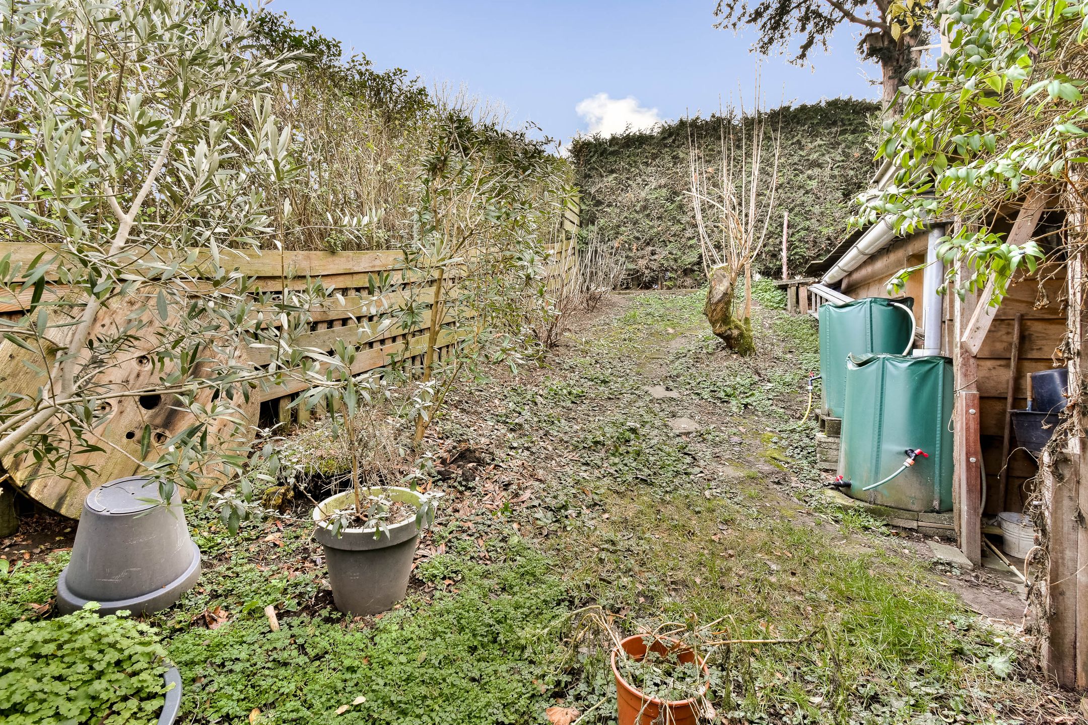 Foto 12 van Zuidendijk 24