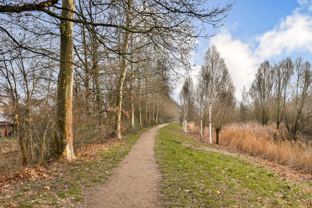 Foto 31 van Zuidendijk 24