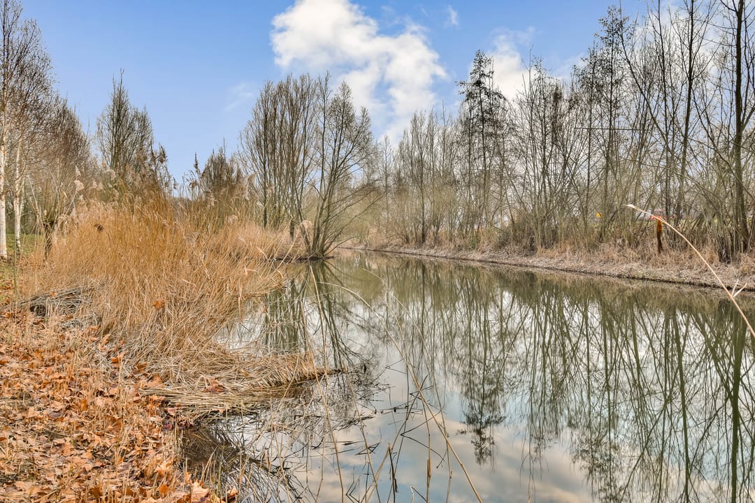 Foto 32 van Zuidendijk 24