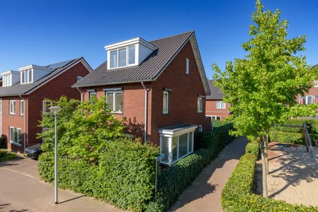 Peltstraat thumbnail