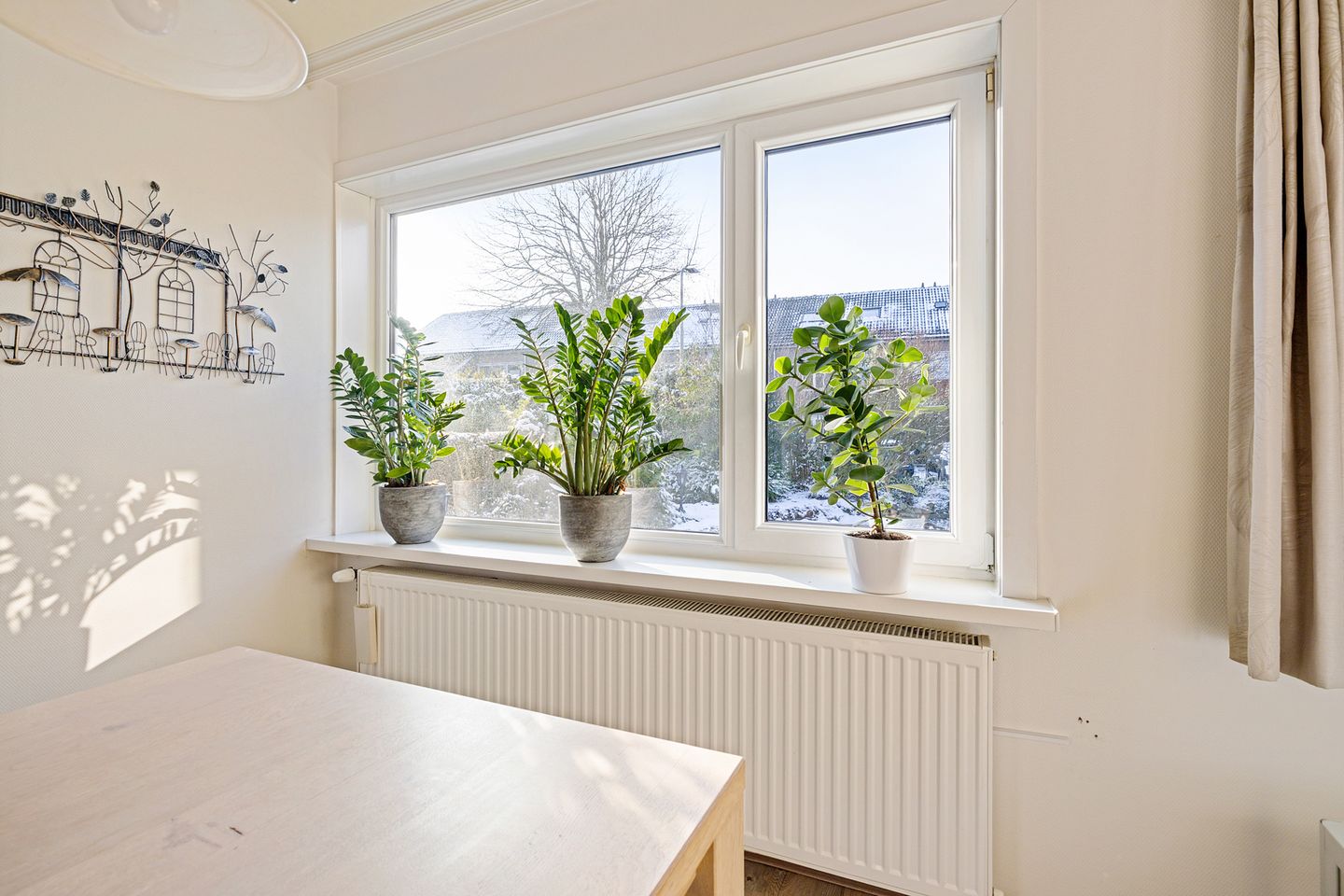 Foto 14 van Ophirstrjitte 13