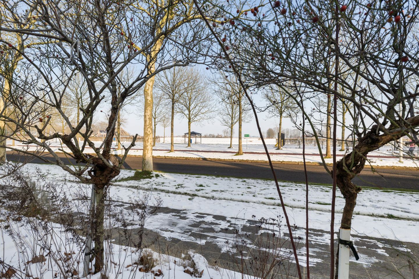 Foto 35 van Ophirstrjitte 13