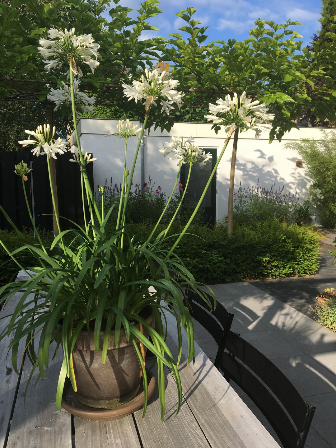 Photo 26 of Beethovenlaan 44