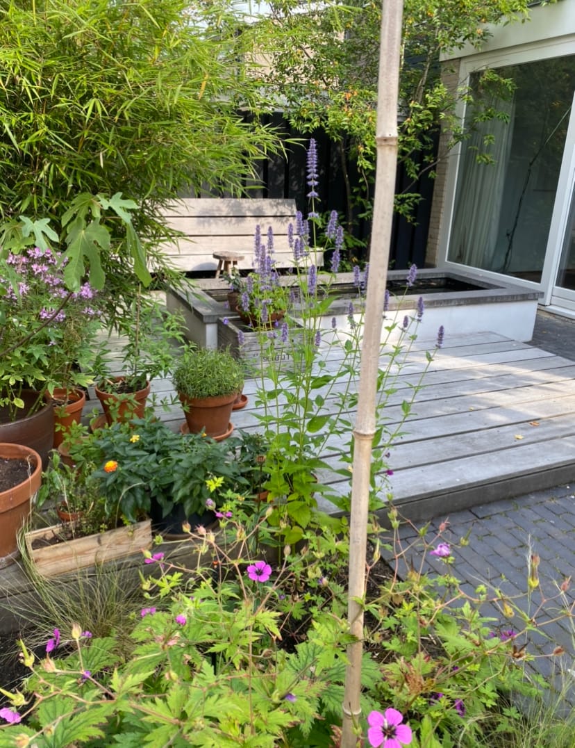 Photo 25 of Beethovenlaan 44