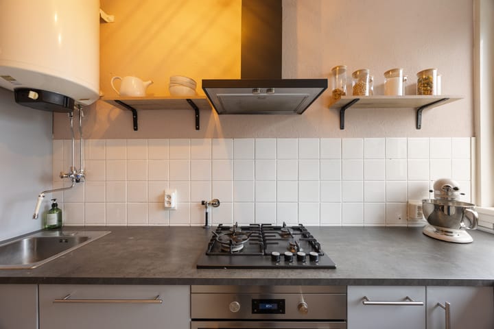 Foto 16 van Trekvogelweg 165