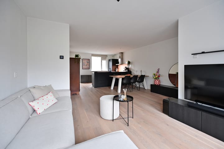 Foto 4 van Eekhoorn 2