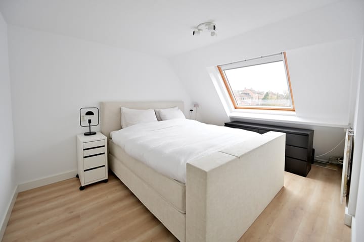 Foto 8 van Eekhoorn 2