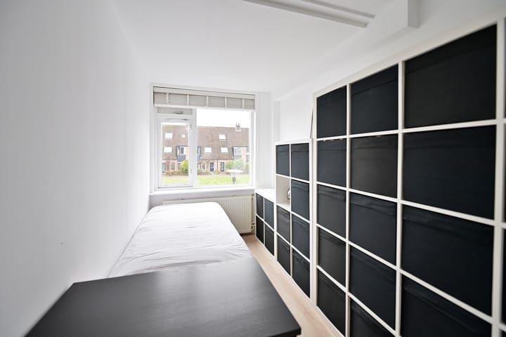 Foto 10 van Eekhoorn 2